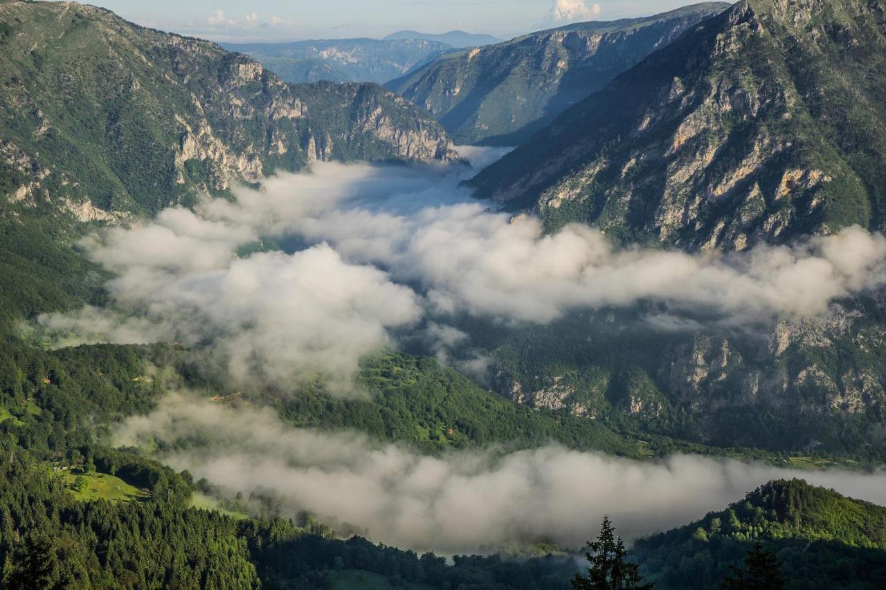 Vila Tijana Žabljak Dış mekan fotoğraf